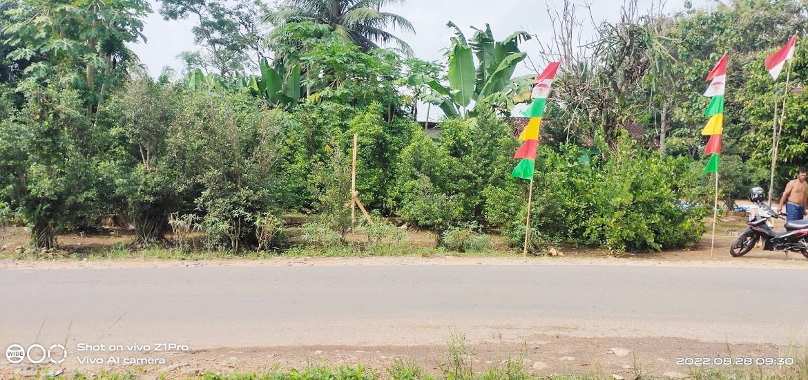 Tanah Dijual di Jati Agung Lampung Selatan Dekat SMAN 1 Jati Agung, Pasar Sidodadi Asri, ITERA 0004