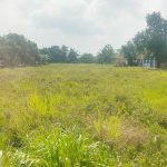 Tanah Dijual Murah Siap Bangun di Kota Baru Cikampek Karawang