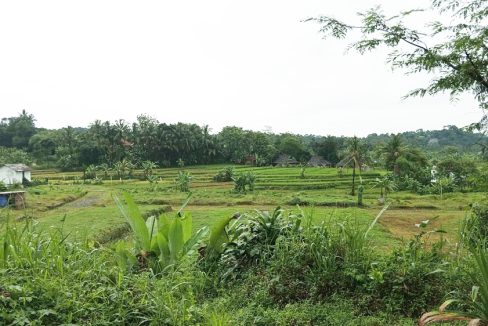 Tanah Dijual di Tamansari Bogor Dekat Desa Wisata Pasireurih SMAN 1 Tamansari Pusdikintel Kodiklat TNI AD Bogor Nirwana Residence 0001